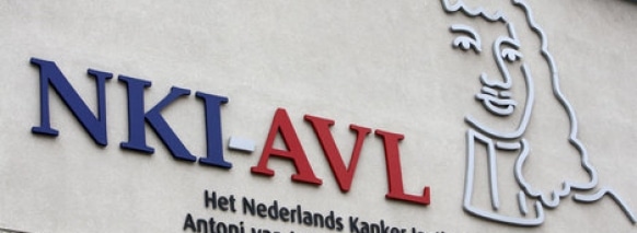 10 kV project NKI-AVL