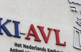 10 kV project NKI-AVL